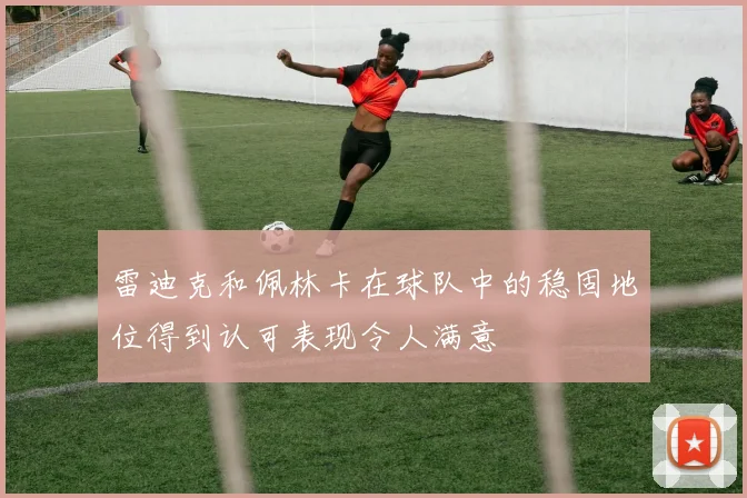 雷迪克和佩林卡在球队中的稳固地位得到认可表现令人满意