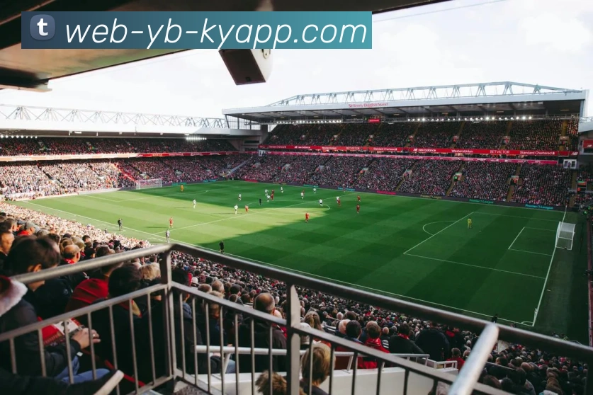 开元棋牌APP 封面图