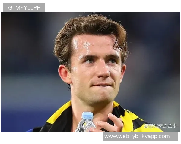 斯特拉斯堡球员身价波动分析：帕尼切利等十人上涨奇尔维尔等十人下滑